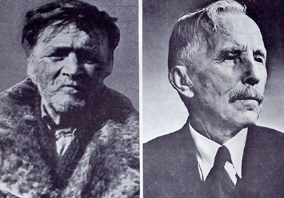 пил елен